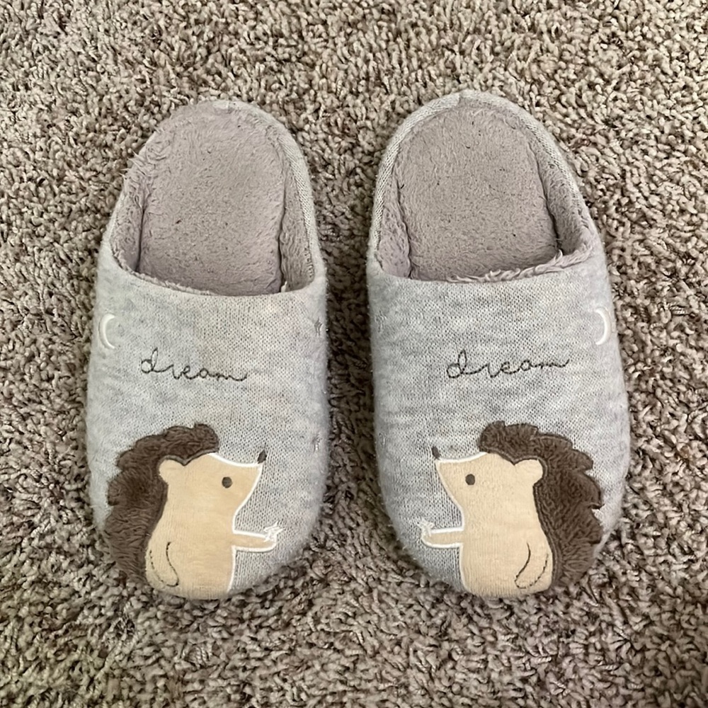 Fuzzy Slippers